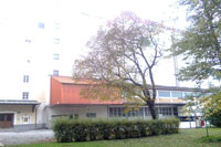 Rauch-Mühle