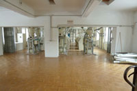 Rauch-Mühle
