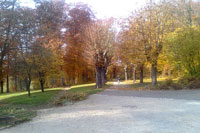 Villa Haar